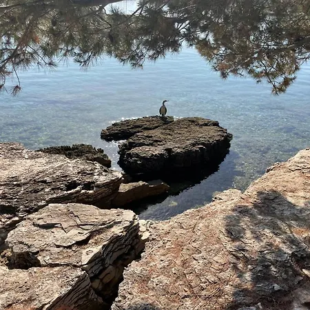 Traum-meerblick-vodice