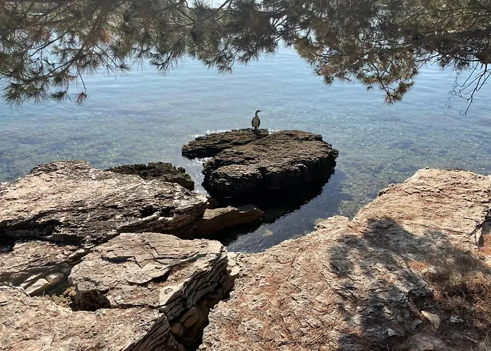 Traum-meerblick-vodice